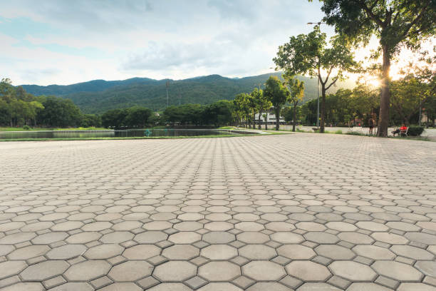 Best Residential Paver Driveway  in Eleele, HI